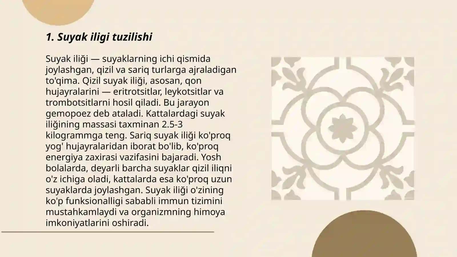 Suyak iliği: tarakkiyoti, tuzilishi, vazifasi 3