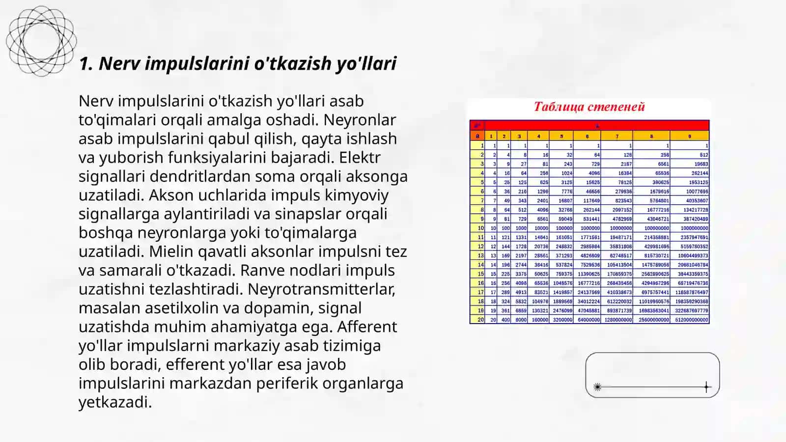 Bosh va orqa miya o'tkazuv yo'llari 3