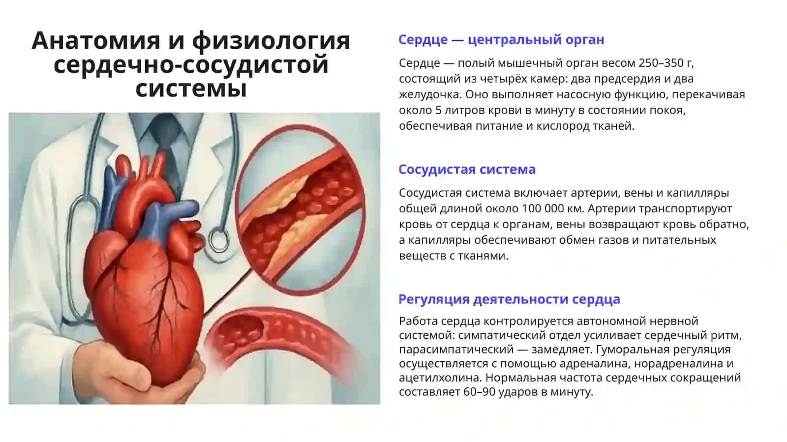 Заболевания сердечно-сосудистой системы 3