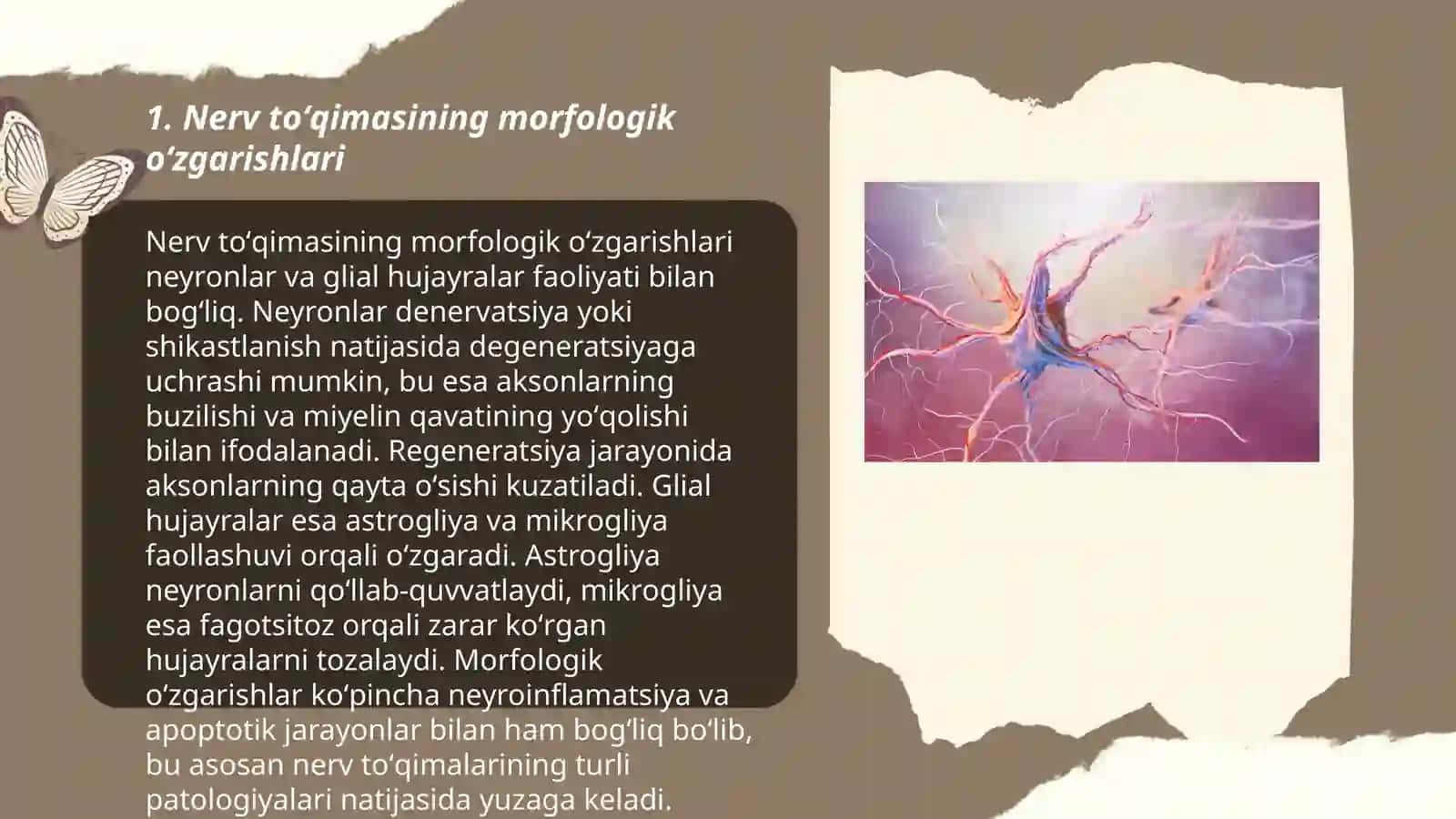 Nerv toʻqimasining degeneratsiyasi va degeneratsiyasi mexanizmlari 3