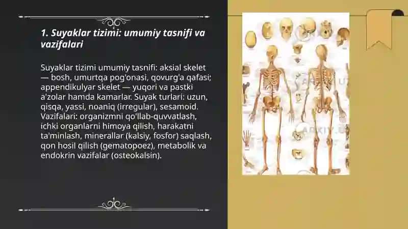 ANATOMIYA FANI SUYAKLAR TUZILISHI VA VAZIFALARI 3