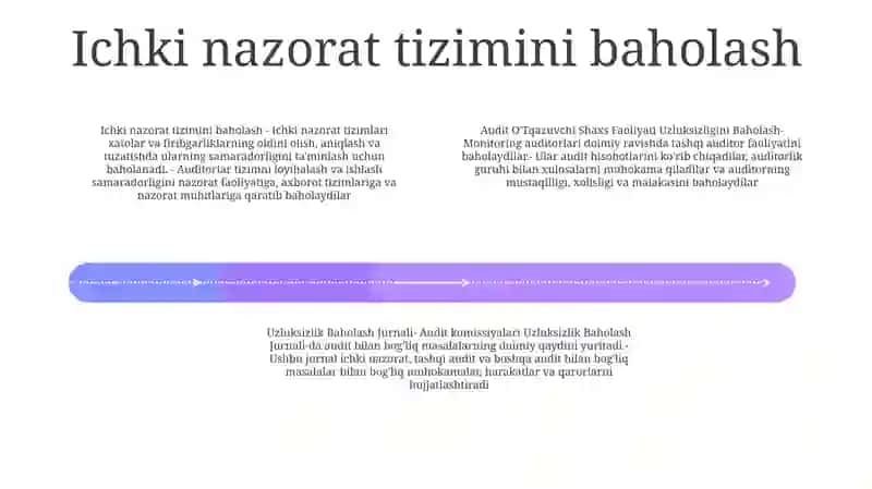 Audit O'Tkazuvchi Shaxs Faoliyati Uzluksizligini Baholash 3