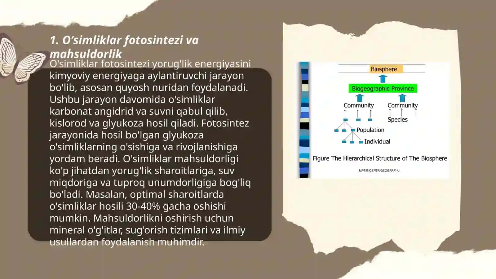 Biosferani mahsuldorligi va biologik xilma xilligi 3