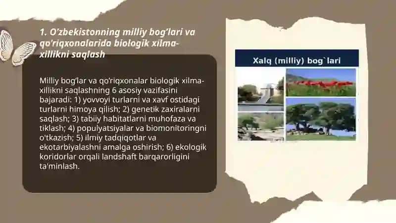 O’zbekistonning milliy bog’lari va qo’riqxonalarining ekologik ahamiyati 3