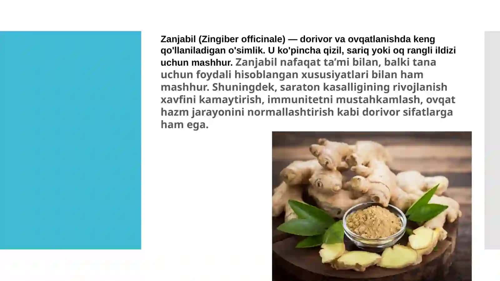 Zanjabil o’simligining dorivorligi hamda foydali xususiyarlari 3