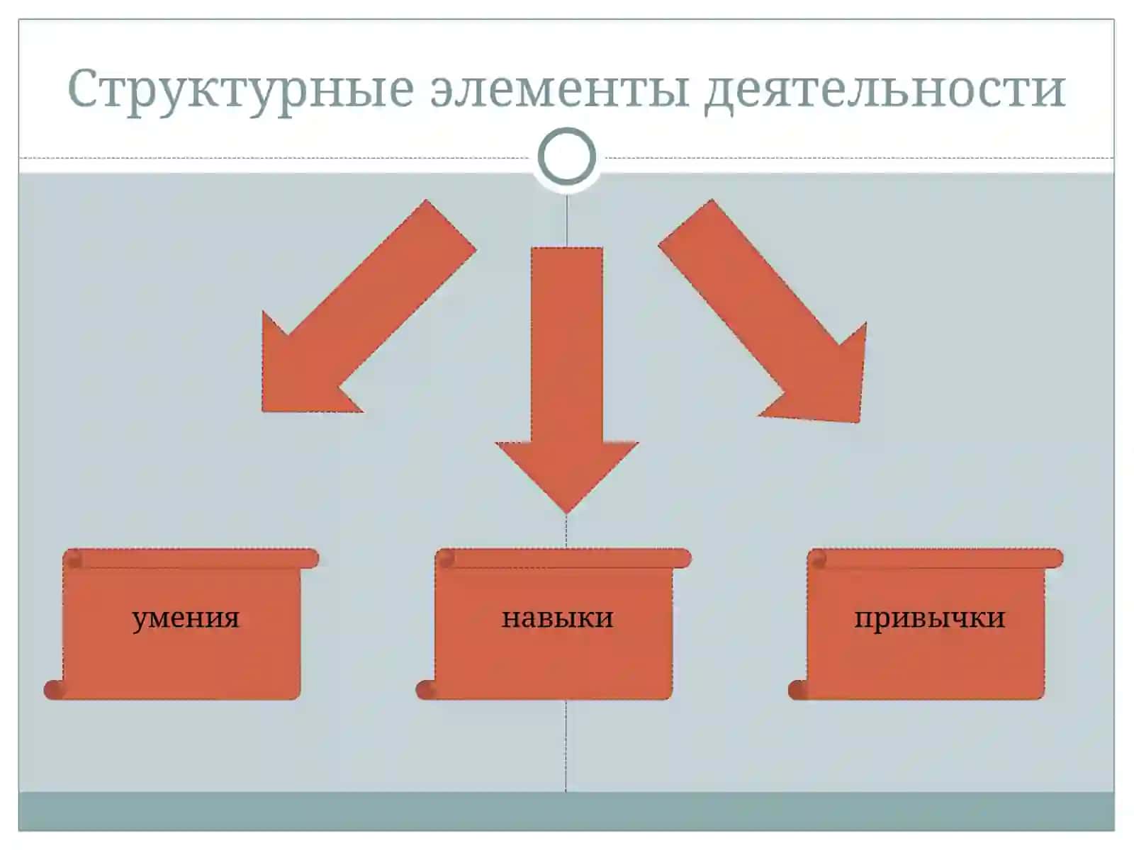 Привычки умения и новики личности 3