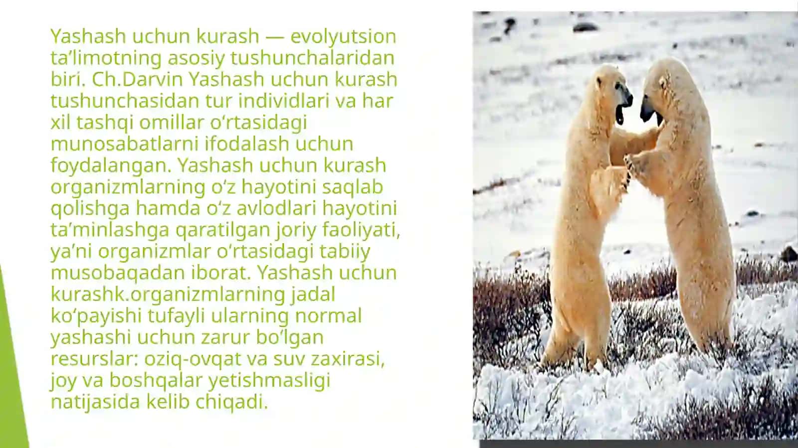 Yashash uchun kurash va ularning turlari 3