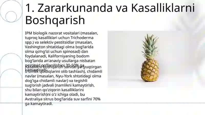 Meva bogʻlari tashkil etish va parvarish qilish usullari 3