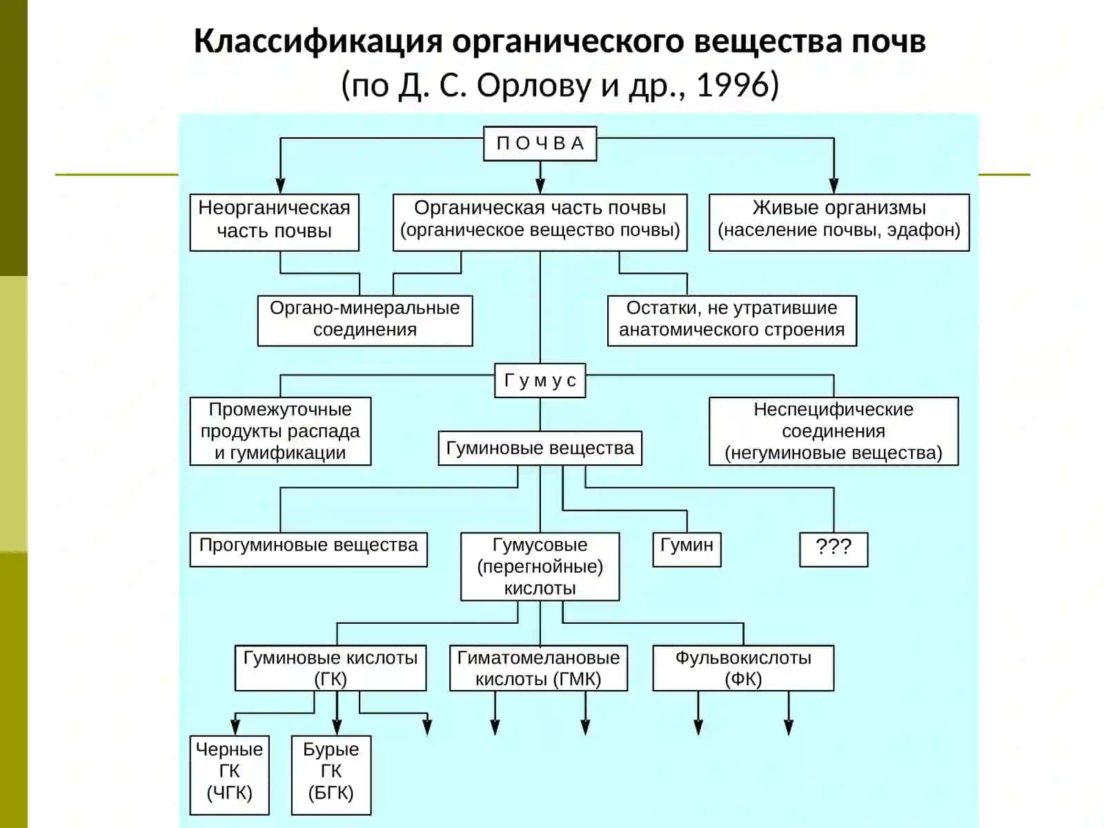 ОРГАНИЧЕСКОЕ ВЕЩЕСТВО ПОЧВЫ 3
