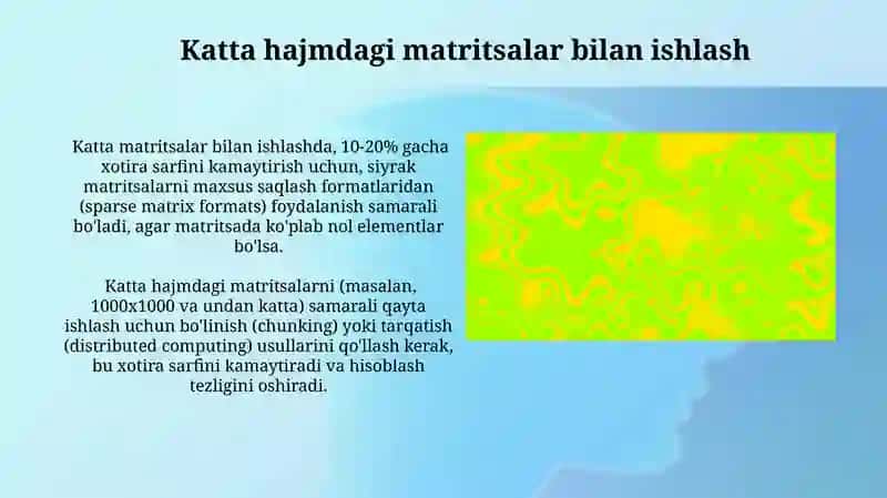 Matritsalarni Funktsiya Parametrlari Sifatida Qo'llash 3