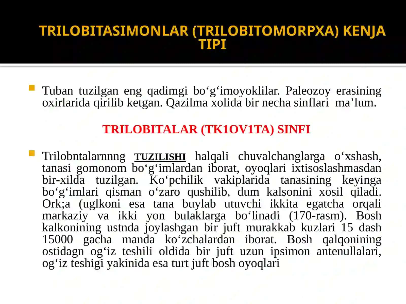 Umurtqasizlar zoologiyasidan tayorlagan taqdimot 3