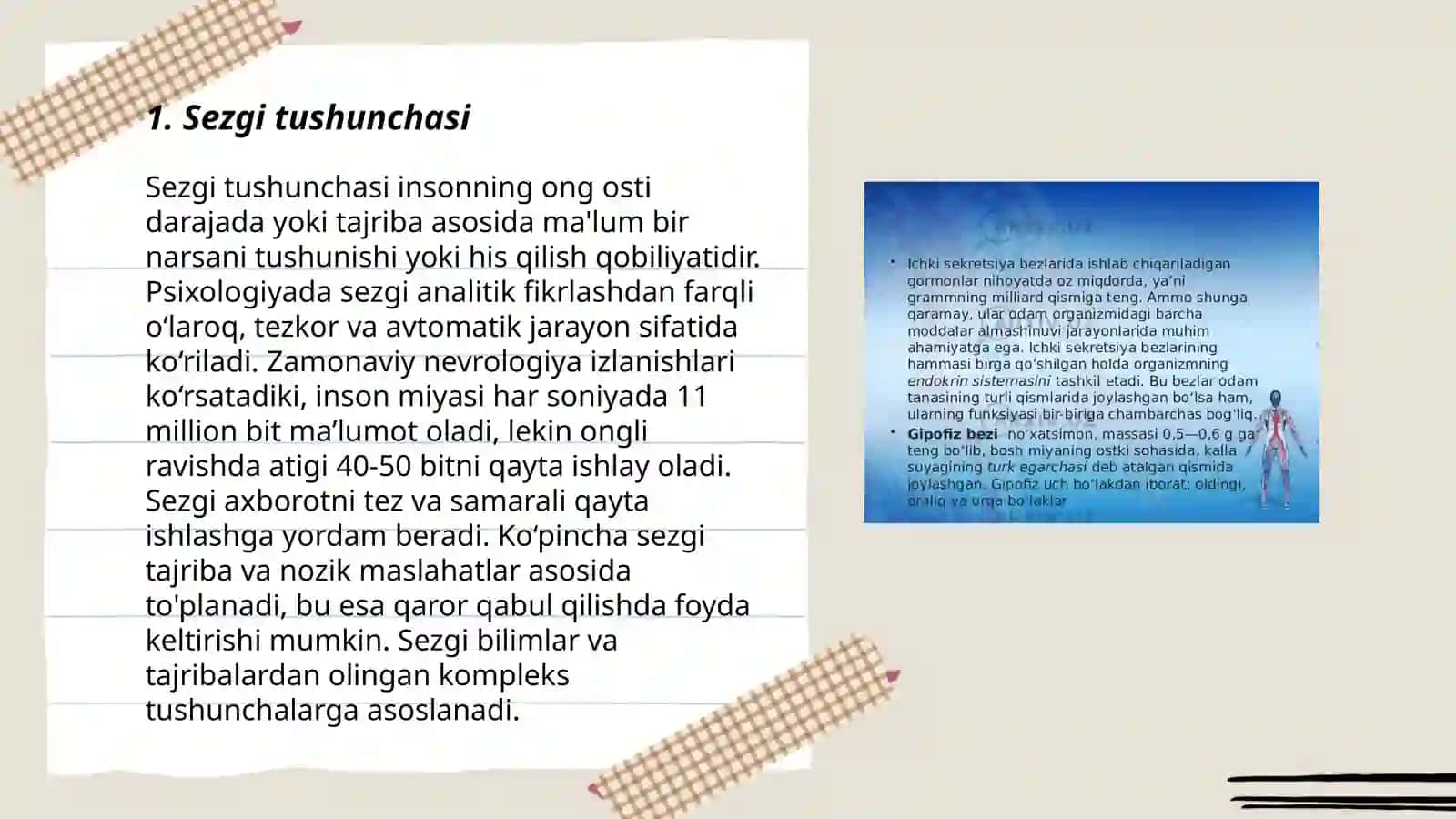 Sezgi haqida umumiy tushuncha va uning nerv-fiziologik asoslari 3