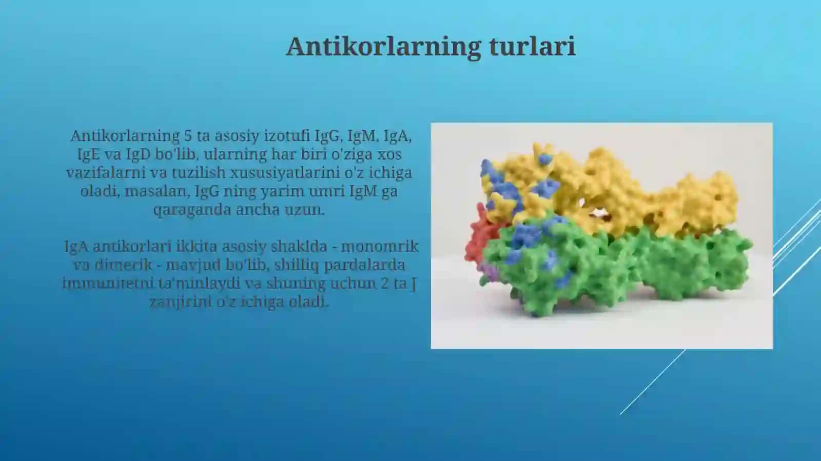 Imunitet tizimi molekulalari (antikorlar, antigen)larning tuzilishi 3