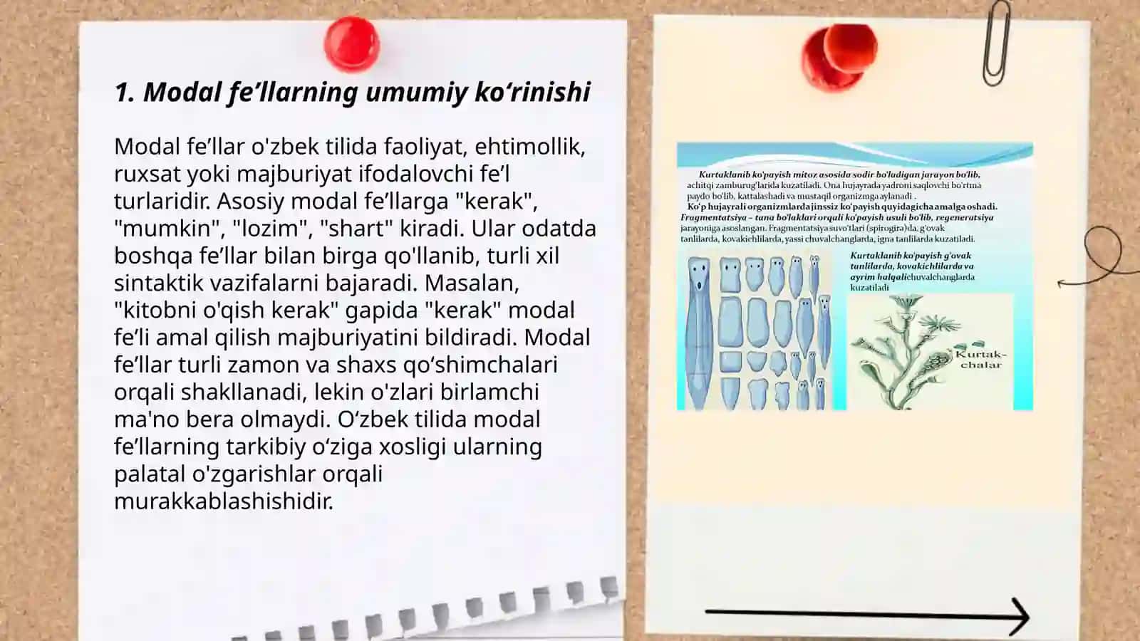 Feʼllarning yasalishi modal shakllari. Tuzilishi jihatdan turlari 3