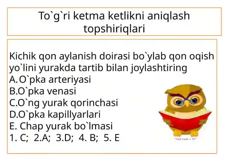 8- sinf Odam va uning salomatligi 3