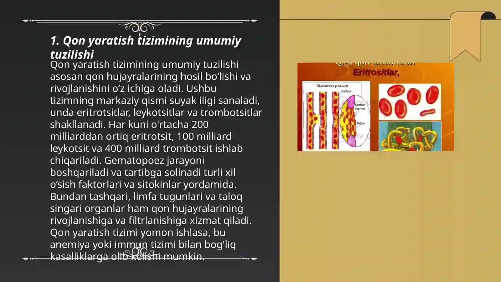 Bolalarda qon yaratish tizimi anatoma fiziologik xususiyatlari 3
