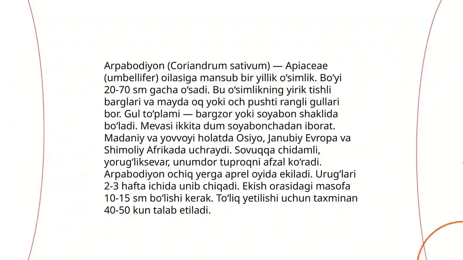 Arpabodiyon va kashnich biologiyasi yetishtirish texnologiyasi 3