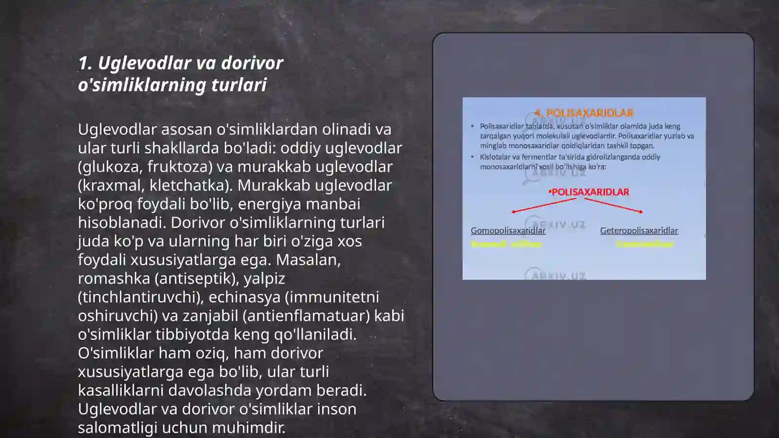 Uglevod saqlovchi dorivor o'simliklar 3