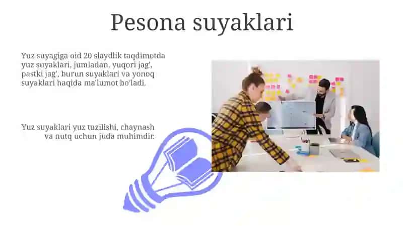 Yuz suyaklari anatomiyasi 3