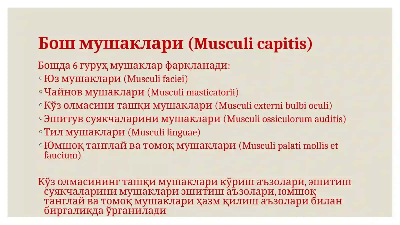 Бош мушаклари. Чайнов ва мимика мушаклари: хусусиятлари, топографик ва функционал анатомияси. Бош ва бўйин соҳасини тери ости ёғ қатлами 3