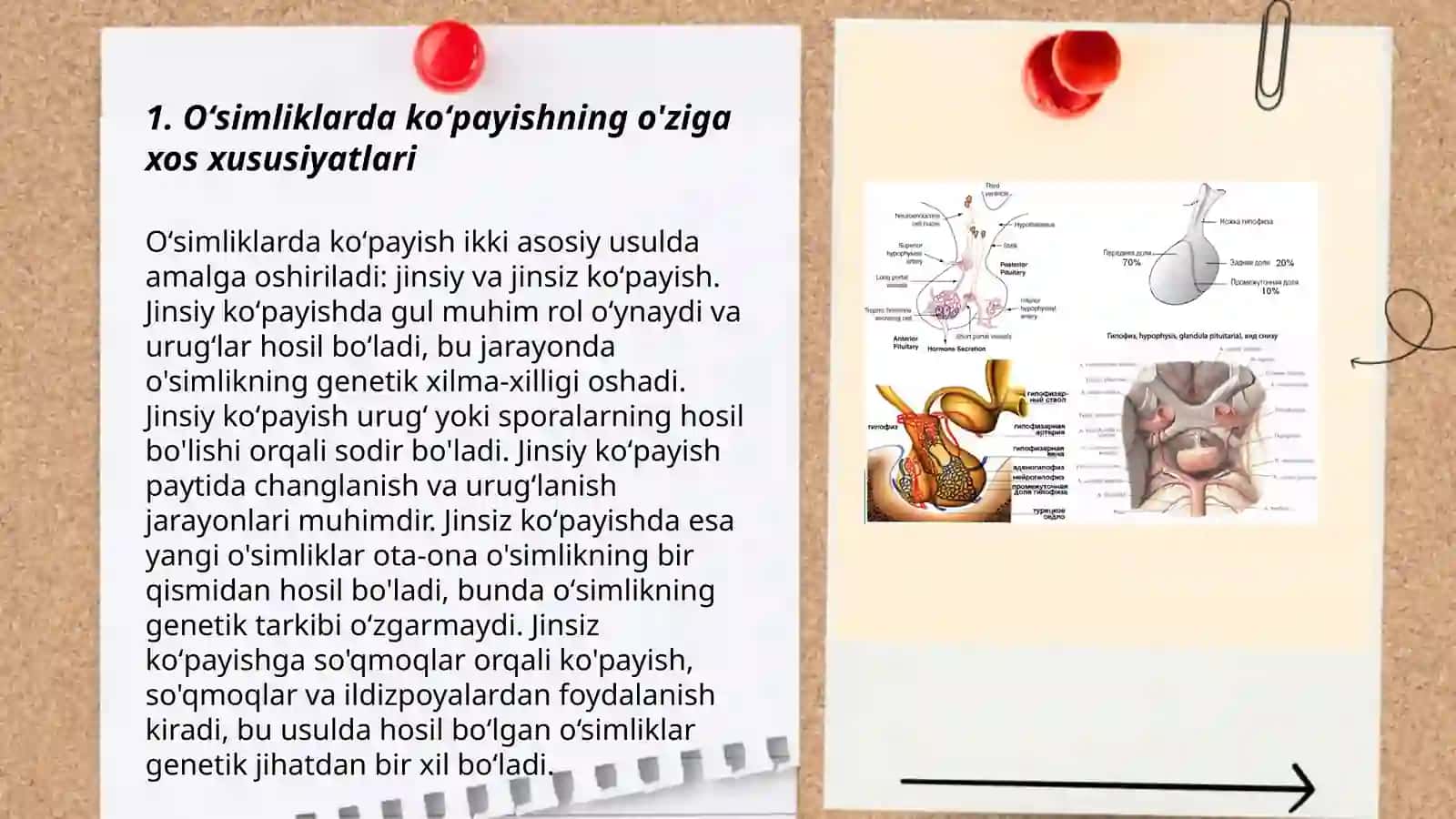 Oʻsimliklarda vegetativ,jinssiz va jinsiy koʻpayishning mohiyati ularning qishloq xoʻjaligidagi ahamiyati 3