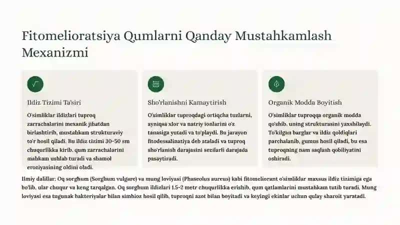 Qumlarni Fitomelioratsiya Usuli Bilan Mustahkamlash 3