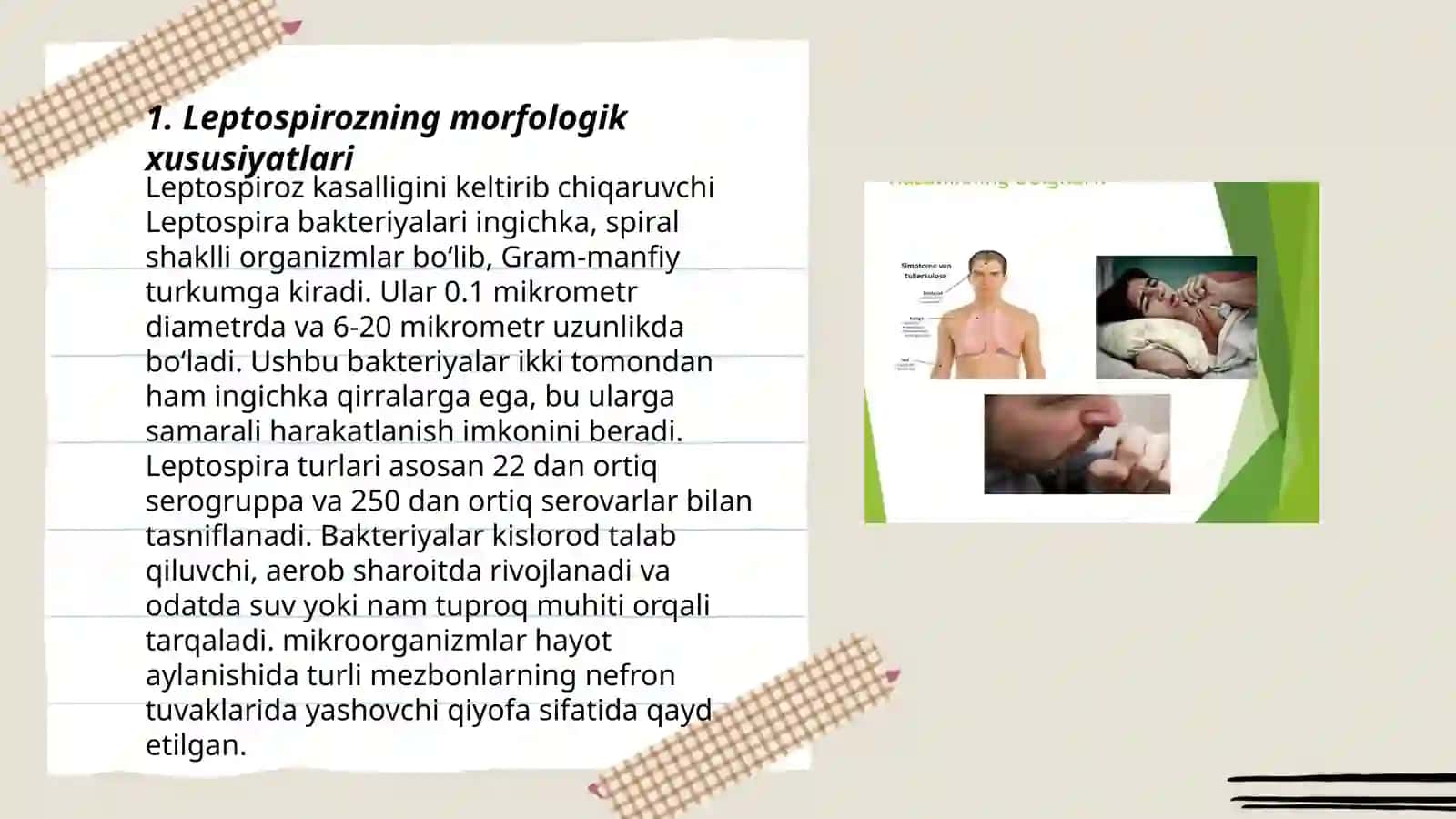 Leptospirozlar morfologiyasi strukturasi tarqalganligi keltirib chiqaruvchi kasalliklar labaratoriya diagnostikasi 3