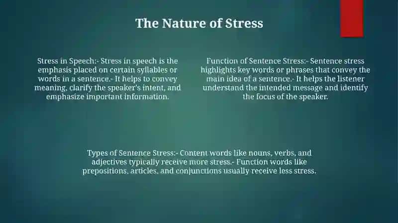 The Function Of Sentence Stress 3