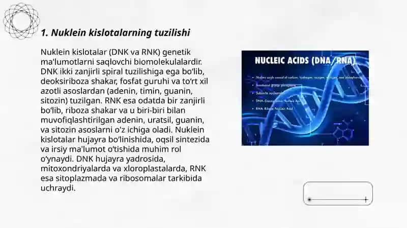 Nuklein kislotalar 3
