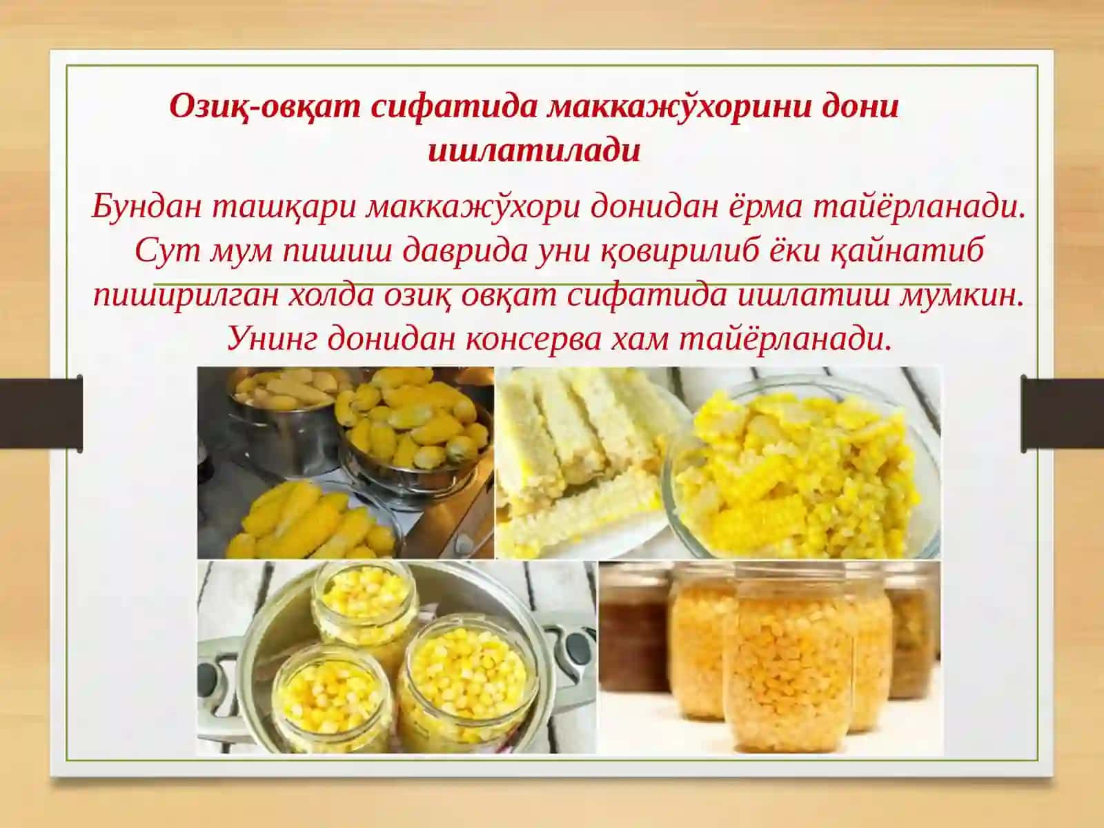 Маккажўхори етиштириш технологияси 3