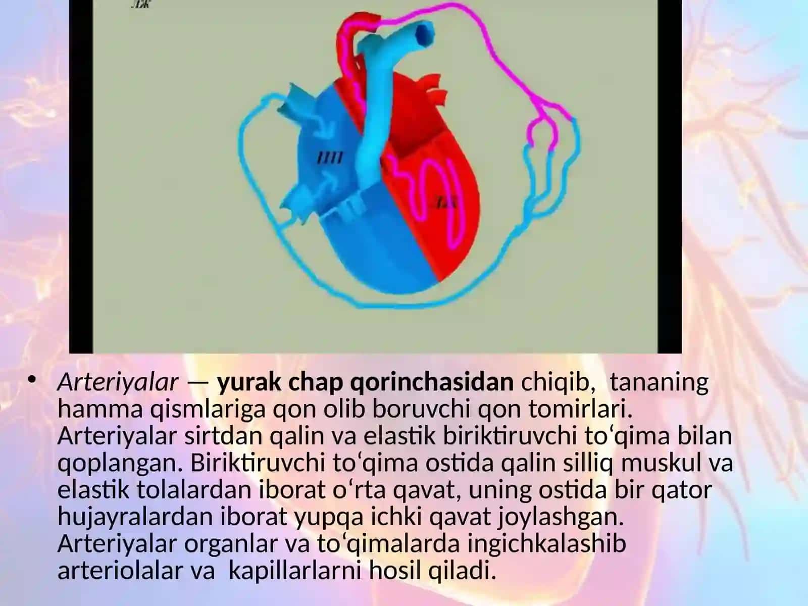 QON AYLANISH DOIRALARI HAQIDA MA'LUMOT 3