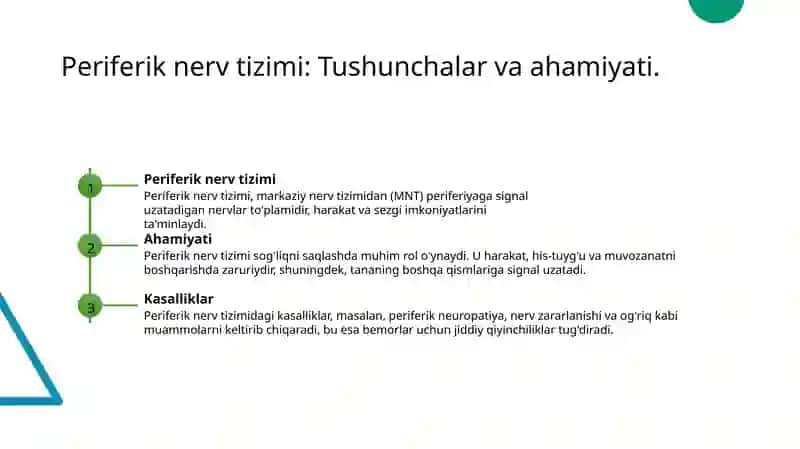 Periferik nerv tizimi 3
