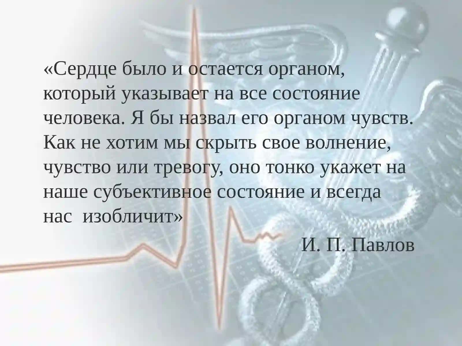 Электрокардиография 3