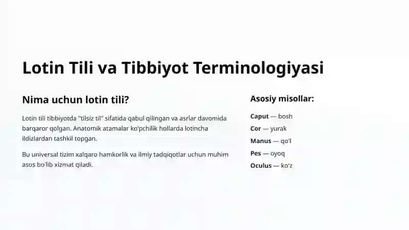 Anatomik Terminologiya Asoslari 3