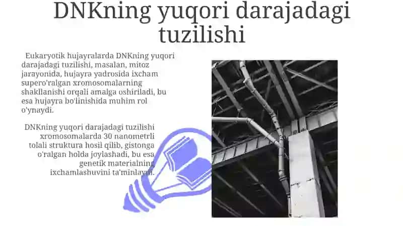 DNKning makromolekulyar strukturasi 3