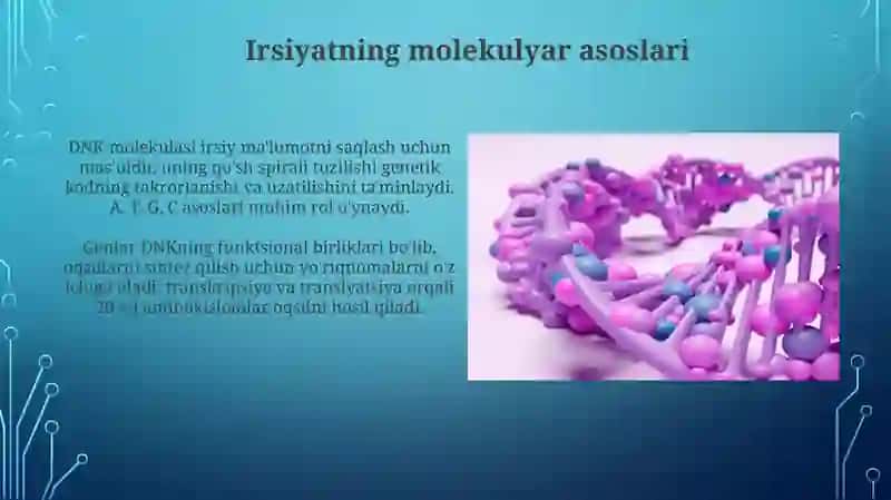 Irsiyatning molekulyar asoslari 3