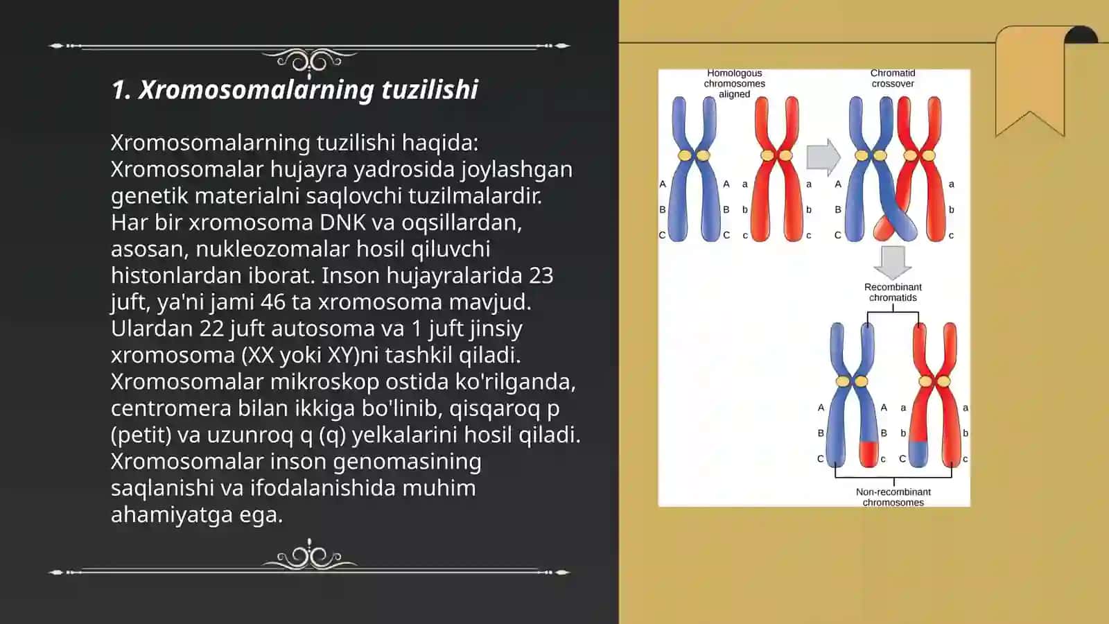 Xromosomalarning tuzilishi 3