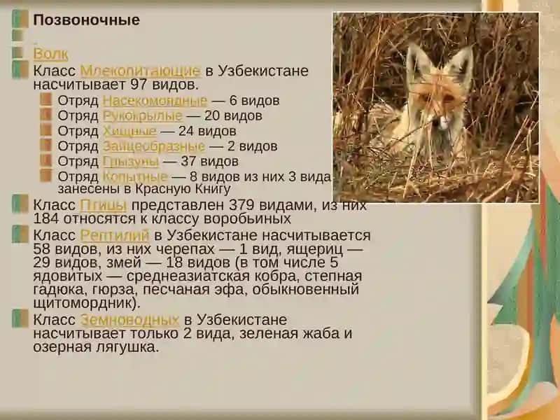Фауна Узбекистана 3
