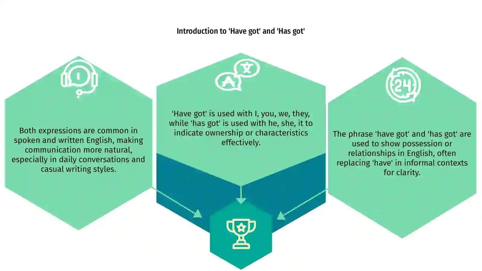 Introduction to 'Have got' and 'Has got' 3