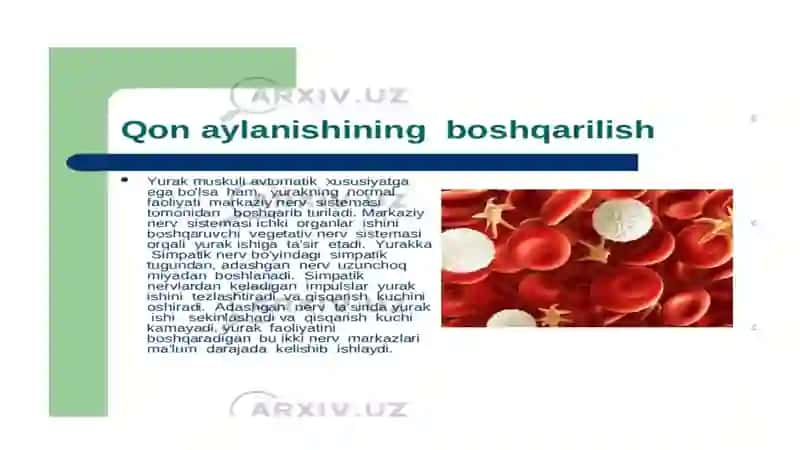 GIPOVOLEMIYALARDA QON AYLANISHINING O'ZGARISHLARI 3