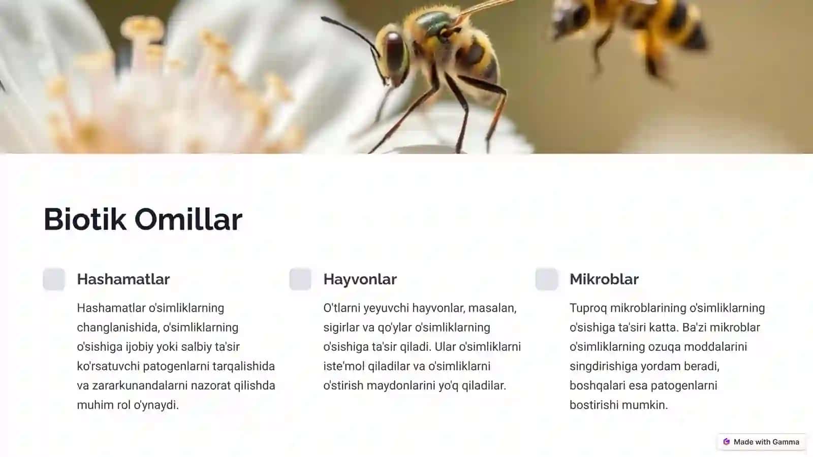 Edafik, Biotik va Antropogen Omillar: O'simliklarning O'sishiga Ta'sir 3