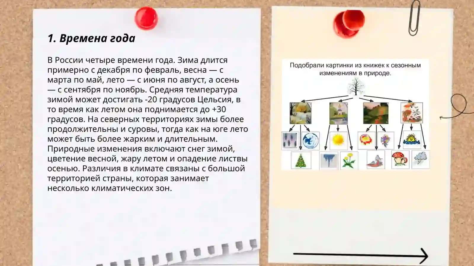 Сезонные изменения в природе (3 класс) 3