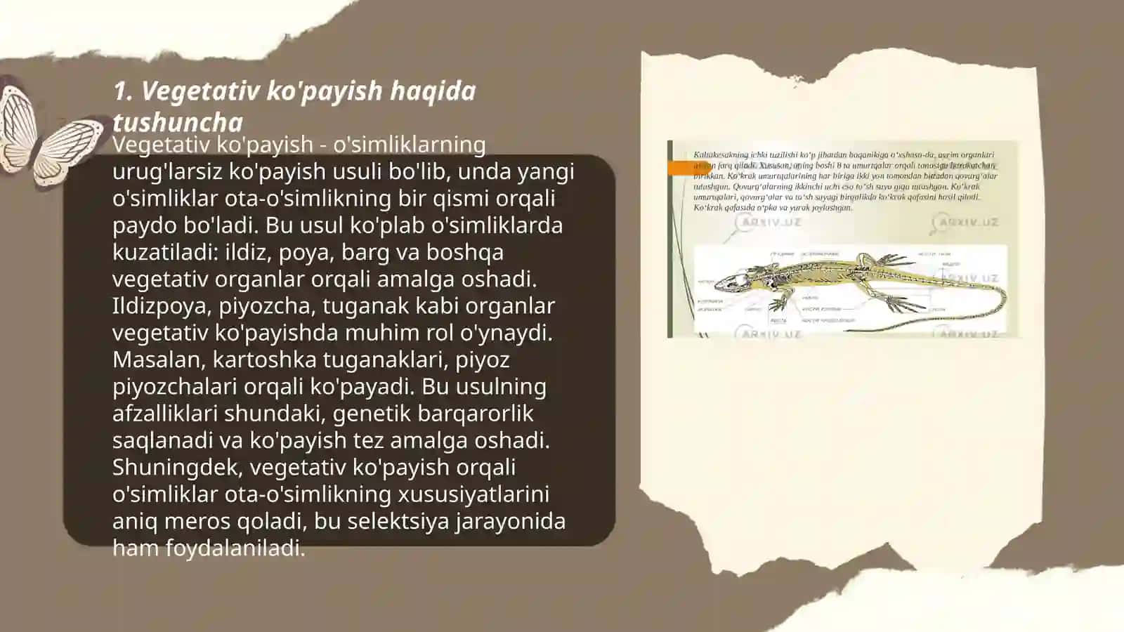 O'simliklarning vegetativ va genirativ kopayishi.Jinsiy kopayish 3