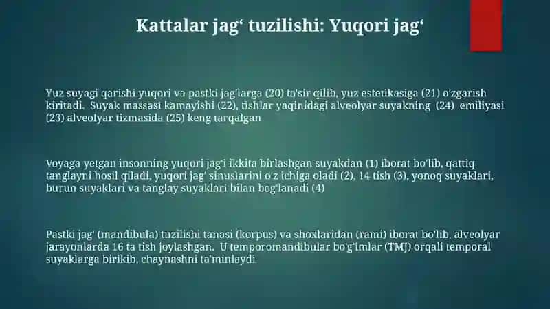 Yuqori va pastki jag'ning tuzulishi, yoshda doir xususiyatlari 3