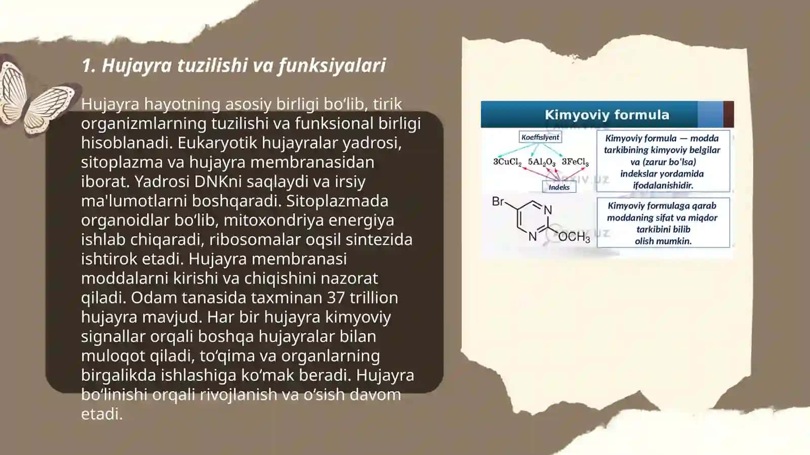 Inson Anatomiyasi va Fiziologiyasi 3