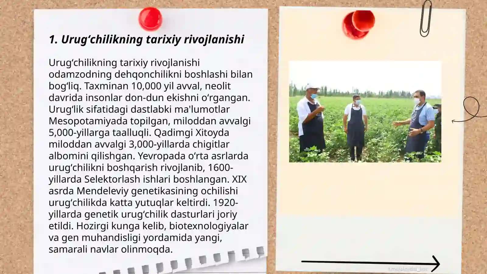 Oʻlkamizda urugʻchilik tuzumi 3