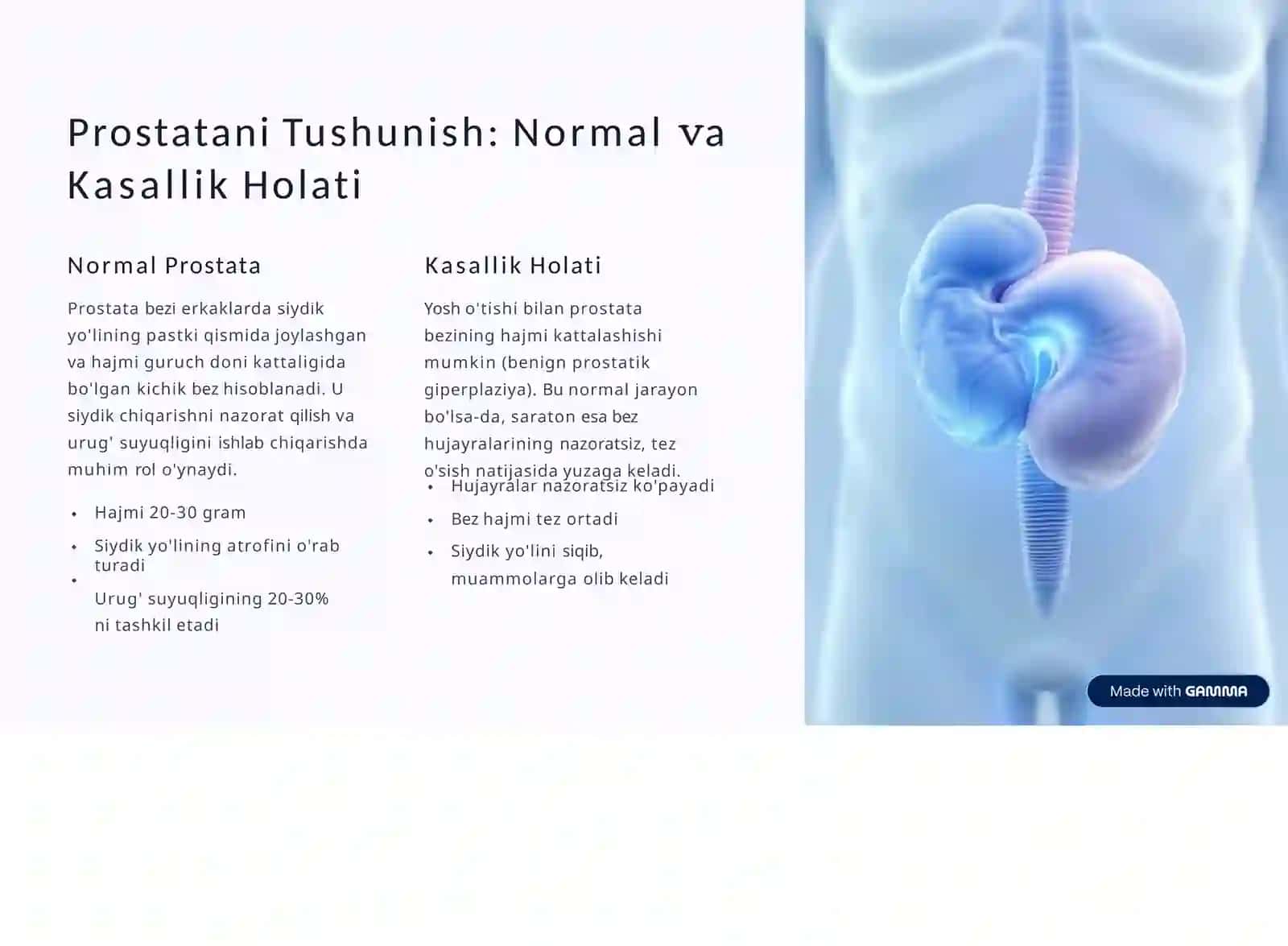 Prostata Bezi Saratoni: Erkaklar Sog'lig'ining Jiddiy Tahdidi 3