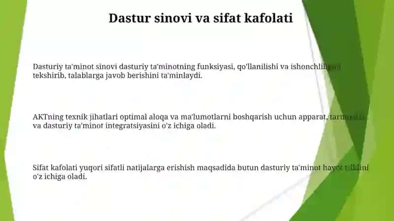 Dasturiy ta'minot sinovi 3
