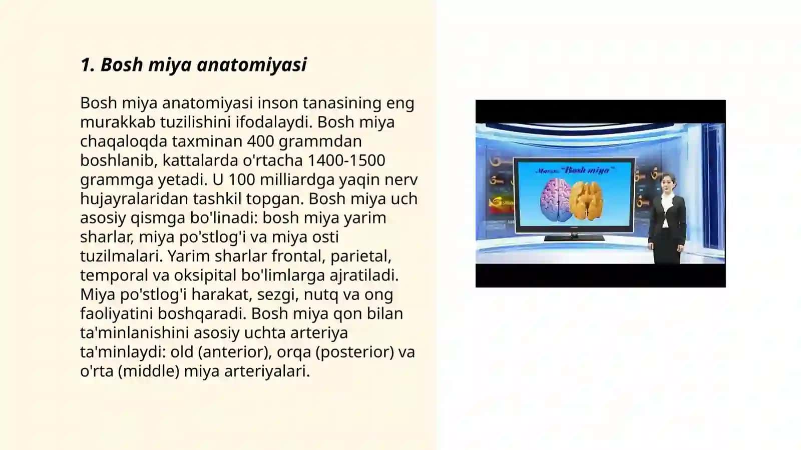 Bosh miya anatomiyasi 3