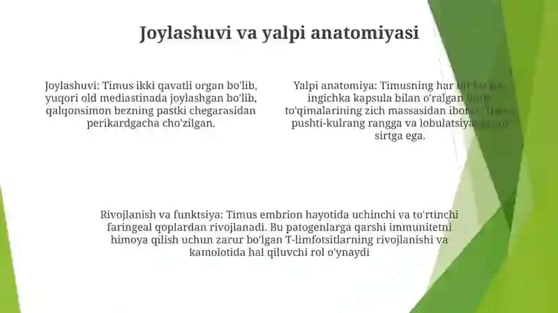 Timus Tuzilishi, Taraqqiyoti Va Vazifasi 3